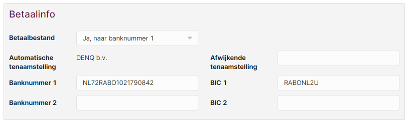 boekhouding-tabblad-betaalinfo-02