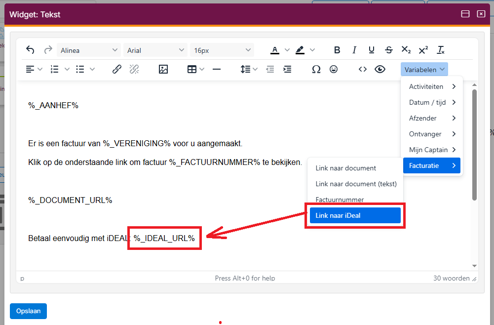 online-betalen-ideallink-02