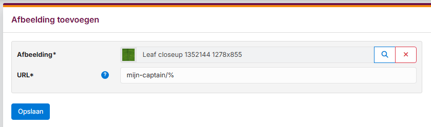 url-afhankelijke-afbeeldingen-06 url-afhankelijke-afbeeldingen-06