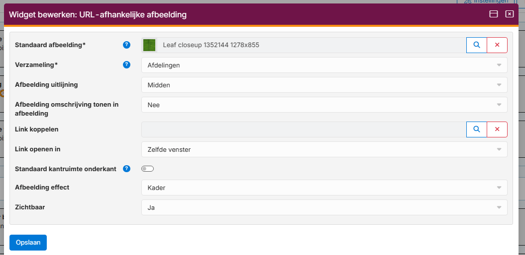 url-afhankelijke-afbeeldingen-07 url-afhankelijke-afbeeldingen-07