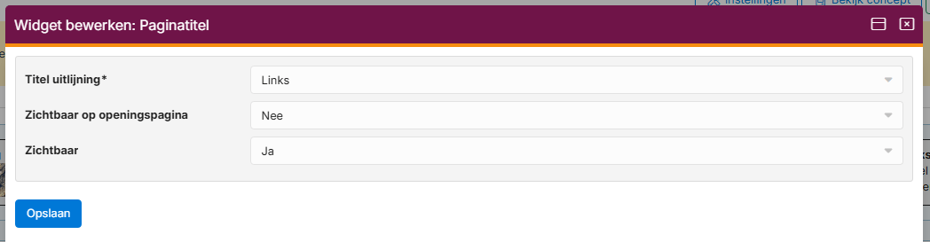 website-widget-paginatitel