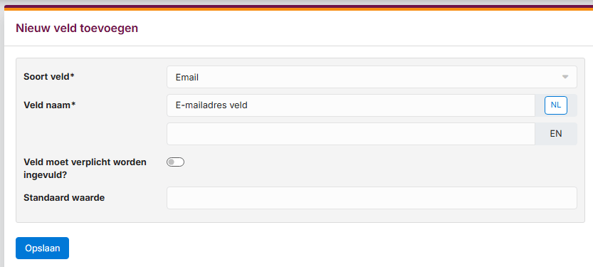 websitebeheer-formulieren-13