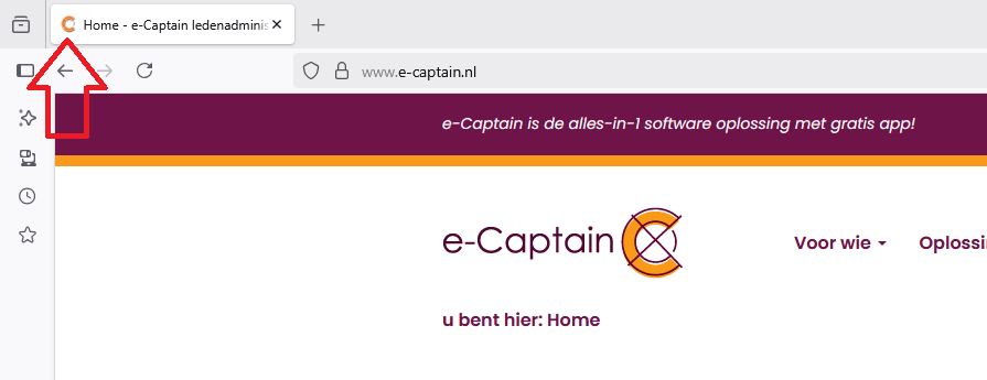 websitebeheer-pagina-icoon-01 websitebeheer-pagina-icoon-01