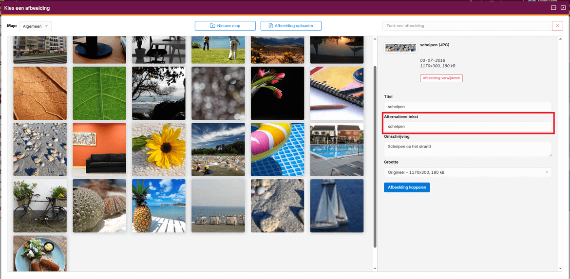 websitebeheer-seo-opties-06 websitebeheer-seo-opties-06